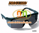 Kính bảo hộ An toàn Proguard 46BC