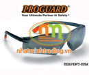 Kính bảo hộ an toàn Proguard SERPENT-SSM